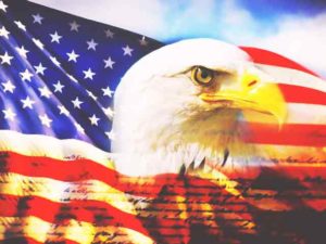 Best American made gun safes